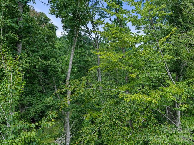 000 Winterberry Road 25, Burnsville, NC 28714