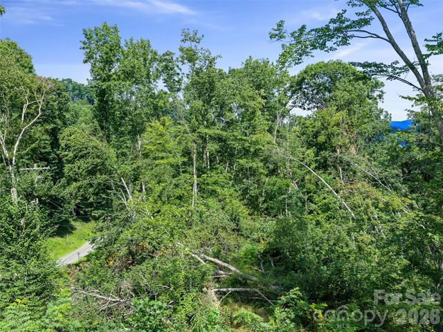 000 Winterberry Road 25, Burnsville, NC 28714