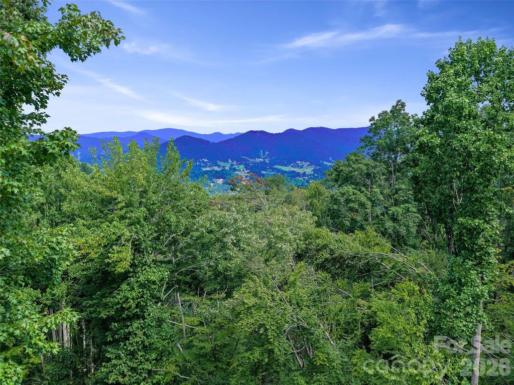 000 Winterberry Road 25, Burnsville, NC 28714