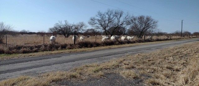 6267 County Road 523, Skidmore, TX 78389