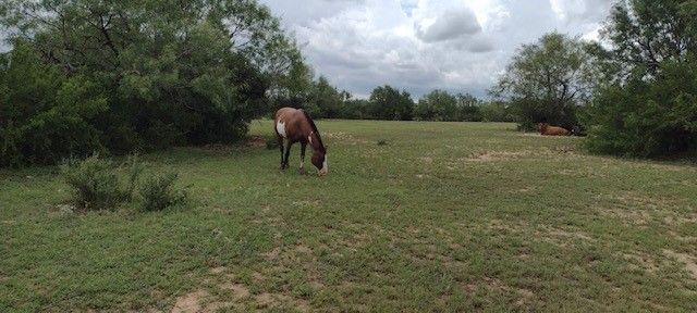 6267 County Road 523, Skidmore, TX 78389