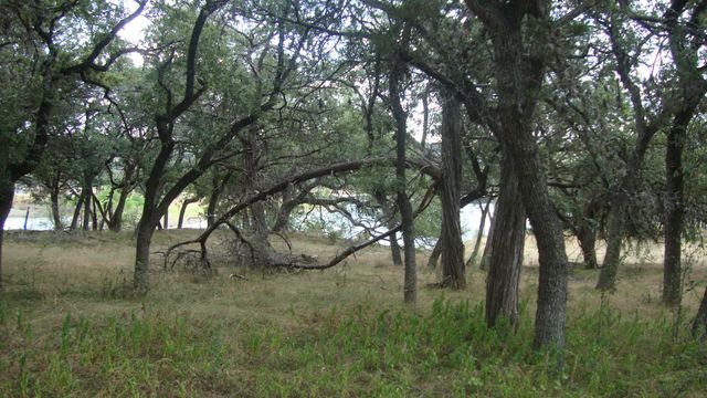 6703 Bar K Ranch RD, Lago Vista, TX 78645