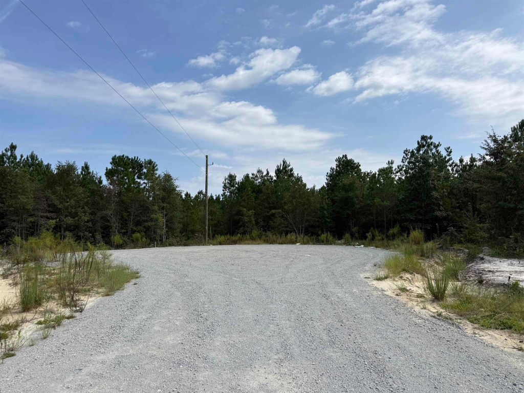 Lot 11 Ellwood Rd., Galivants Ferry, SC 29544 — photo 2