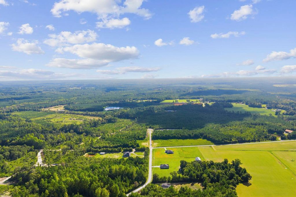 Lot 11 Ellwood Rd., Galivants Ferry, SC 29544 — photo 3