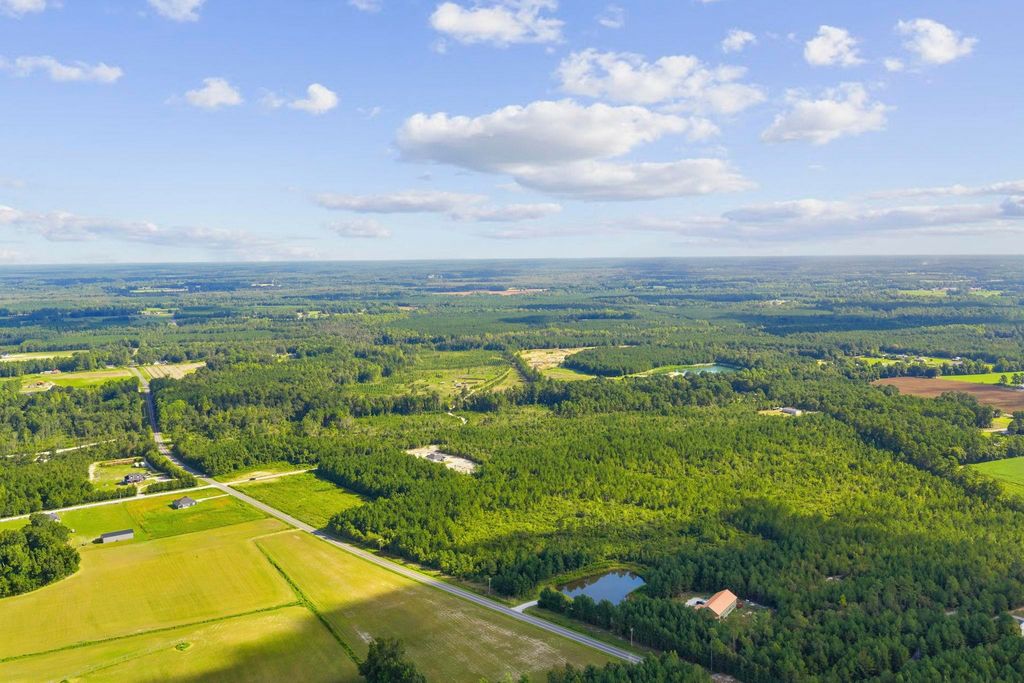 Lot 11 Ellwood Rd., Galivants Ferry, SC 29544 — photo 4