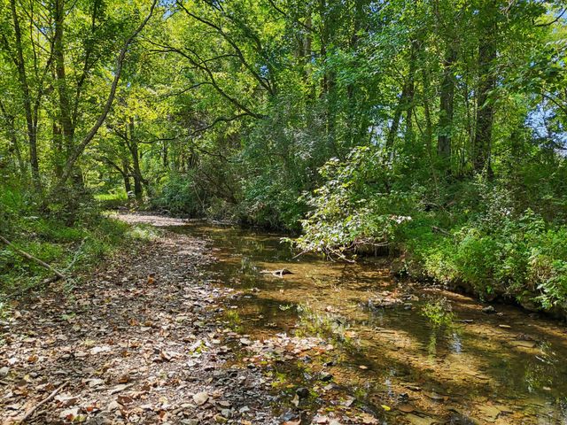 6410 Arno College Grove Rd, College Grove, TN 37046