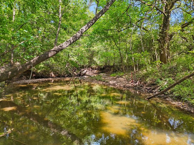 6410 Arno College Grove Rd, College Grove, TN 37046