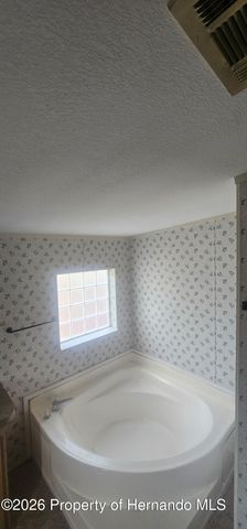 33124 Jamette Road, Dade City, FL 33523