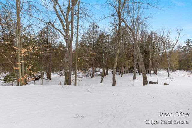 13034 Spruceridge Road, Gowen, MI 49326