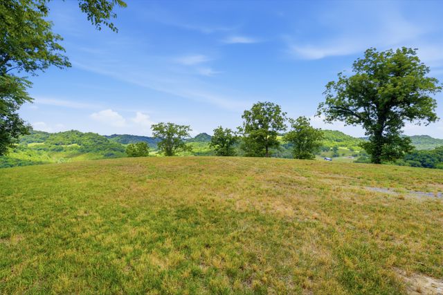 0 Pleasant Shade Highway, Pleasant Shade, TN 37145