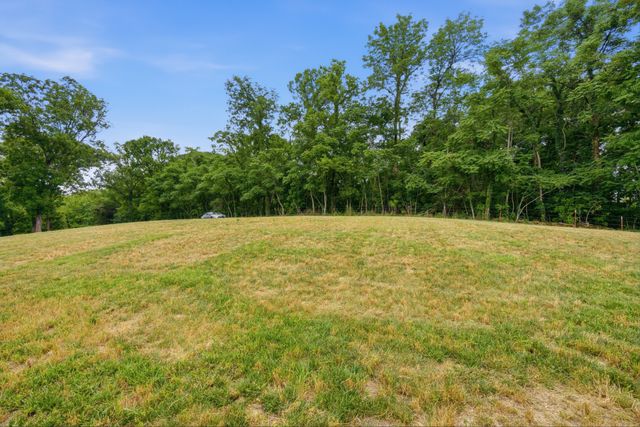 0 Pleasant Shade Highway, Pleasant Shade, TN 37145