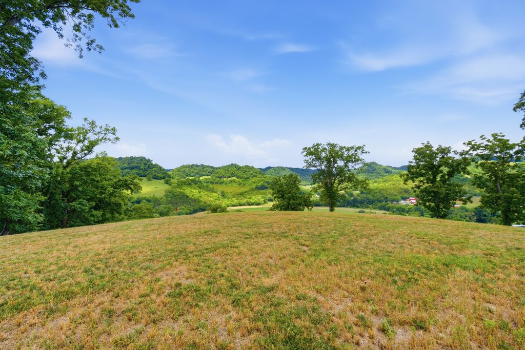 0 Pleasant Shade Highway, Pleasant Shade, TN 37145