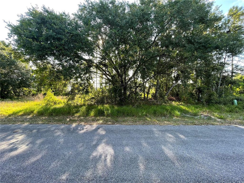 1613 TENCH COURT, Poinciana, FL 34759