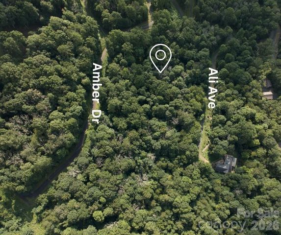 TBD Ali Avenue 5, Bakersville, NC 28705
