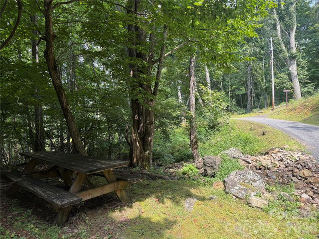 TBD Ali Avenue 5, Bakersville, NC 28705