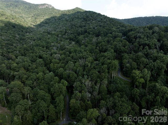 TBD Ali Avenue 5, Bakersville, NC 28705