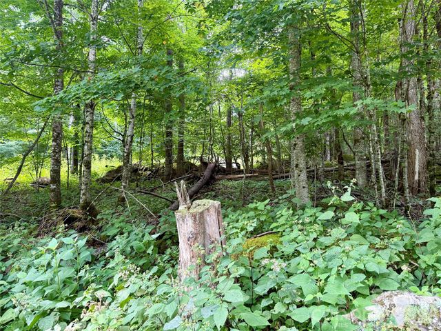 TBD Ali Avenue 5, Bakersville, NC 28705