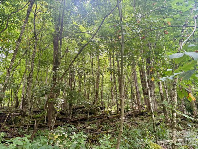 TBD Ali Avenue 5, Bakersville, NC 28705