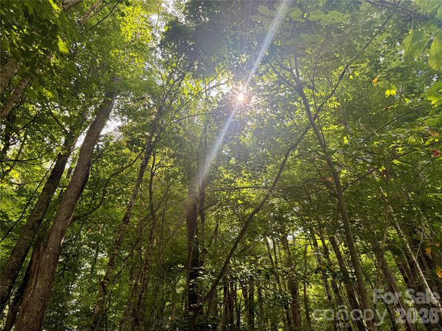TBD Ali Avenue 5, Bakersville, NC 28705
