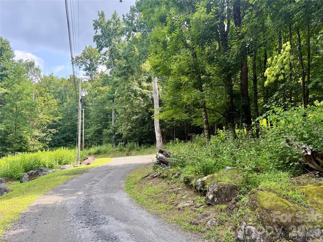 TBD Ali Avenue 5, Bakersville, NC 28705