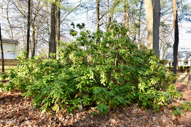 871 Maxwell Drive, Niskayuna, NY 12309