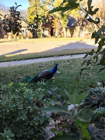 2002 Brianna Lane, Arlington, TX 76001