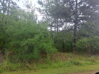 01 Bass/Bonner Drive, Santee, SC 29142