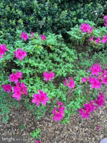 43334 BUTTERFIELD CT, Ashburn, VA 20147