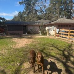 29525 Geneva Drive, Spring, TX 77386