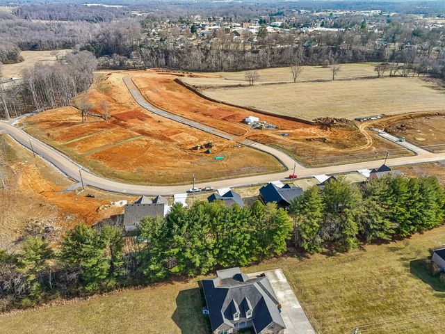 295 Estates Dr, Smithville, TN 37166