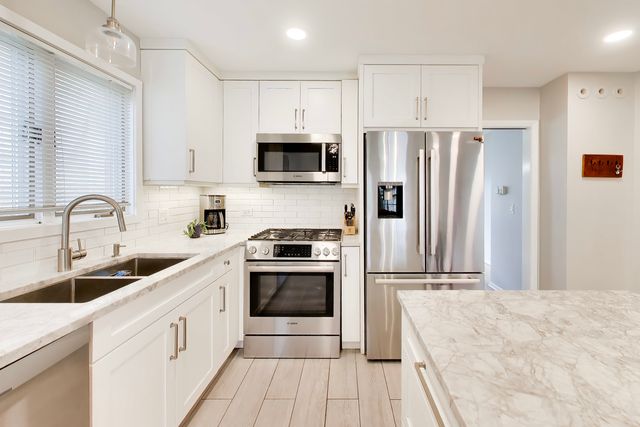 1107 S Hamlin Avenue, Park Ridge, IL 60068