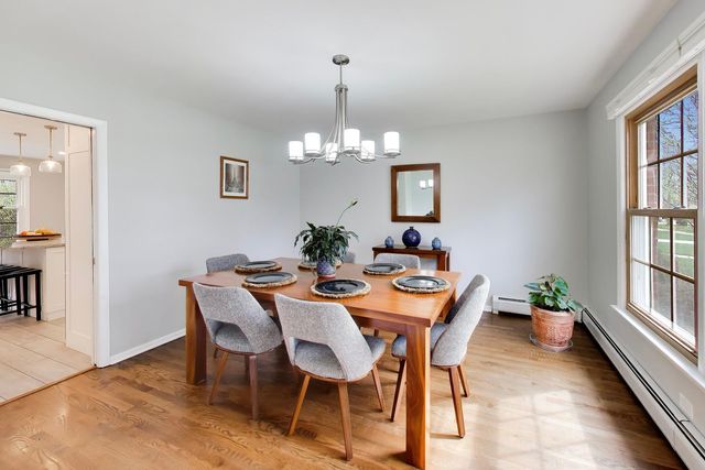 1107 S Hamlin Avenue, Park Ridge, IL 60068