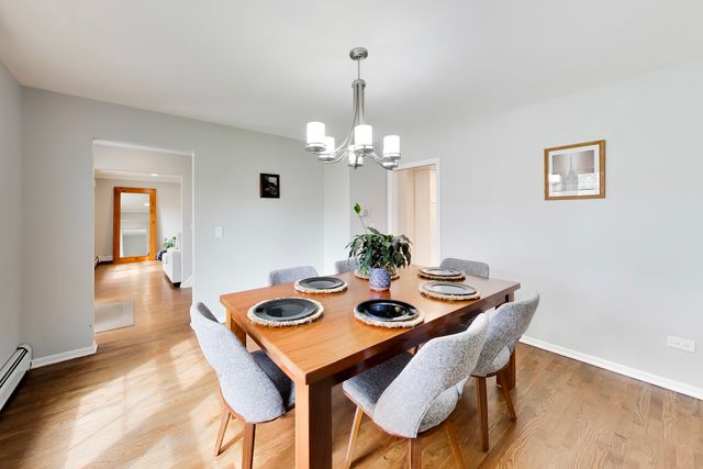 1107 S Hamlin Avenue, Park Ridge, IL 60068