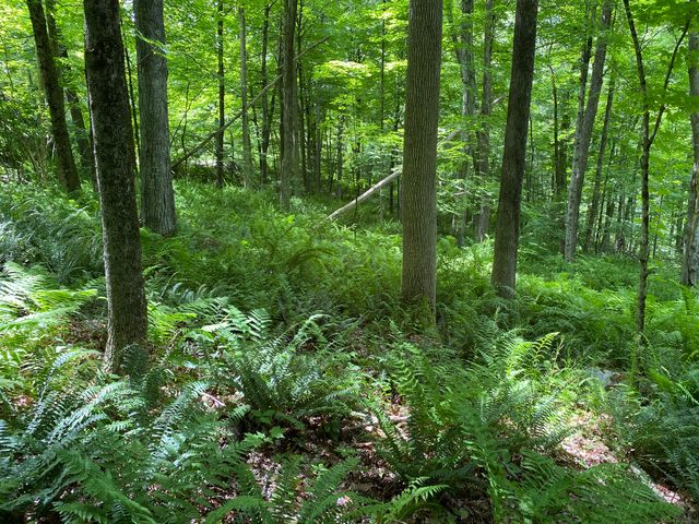 Lot 2 0 Silver Hill Road, Sharon, CT 06069