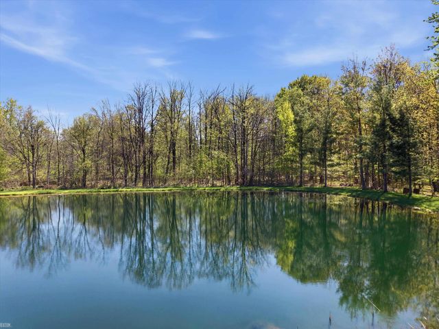 3633 Hollow Pine Court, Almont, MI 48003
