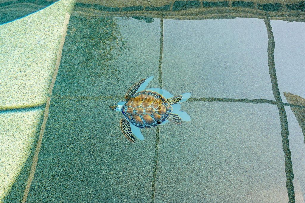 Image 37 of property listing at 4819 PALMETTO POINT DRIVE, Palmetto, FL 34221