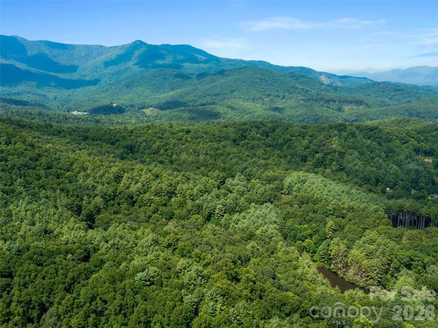 99999 Gordon Lane, Burnsville, NC 28714