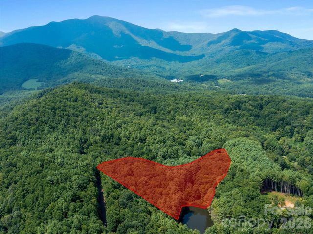 99999 Gordon Lane, Burnsville, NC 28714