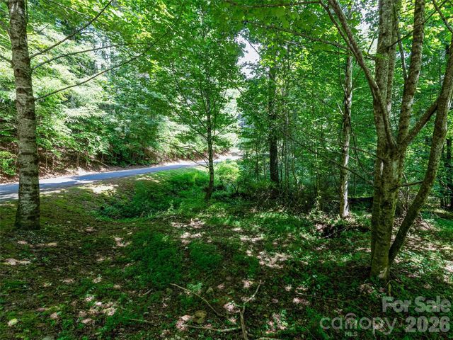 99999 Gordon Lane, Burnsville, NC 28714