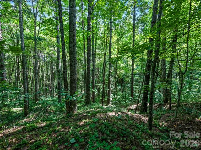 99999 Gordon Lane, Burnsville, NC 28714