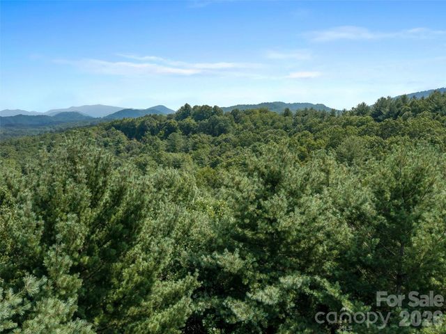 99999 Gordon Lane, Burnsville, NC 28714