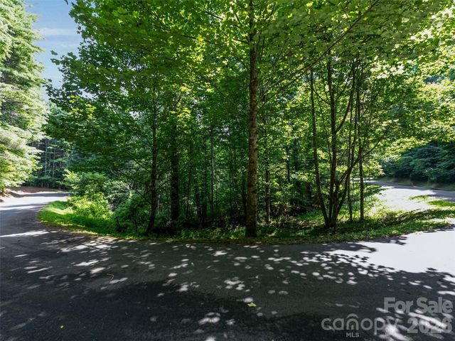 99999 Gordon Lane, Burnsville, NC 28714