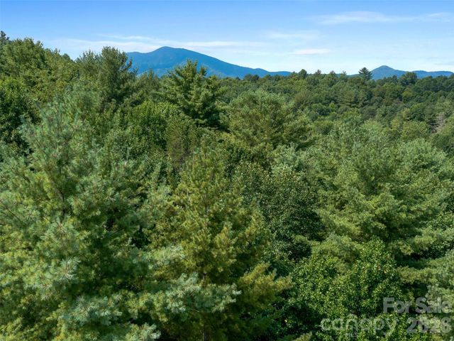 99999 Gordon Lane, Burnsville, NC 28714