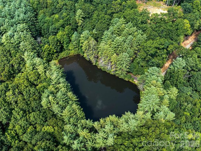 99999 Gordon Lane, Burnsville, NC 28714