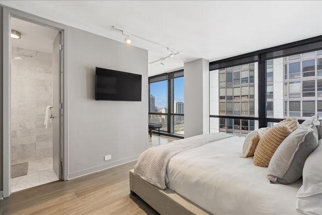 910 N Lake Shore Drive 2820, Chicago, IL 60611