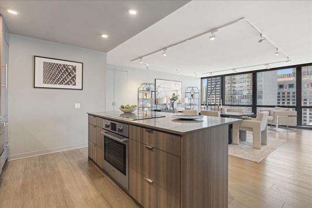 910 N Lake Shore Drive 2820, Chicago, IL 60611