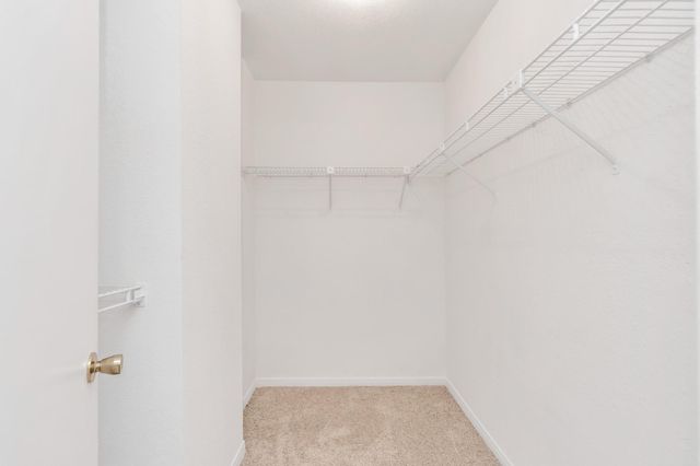 9800 Pagewood Lane 3104, Houston, TX 77042