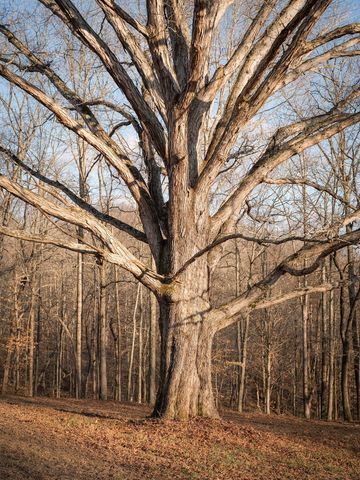 5512 Old Hwy 96, Franklin, TN 37064