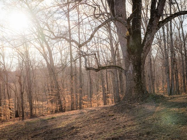 5512 Old Hwy 96, Franklin, TN 37064