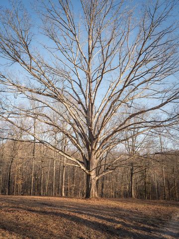 5512 Old Hwy 96, Franklin, TN 37064